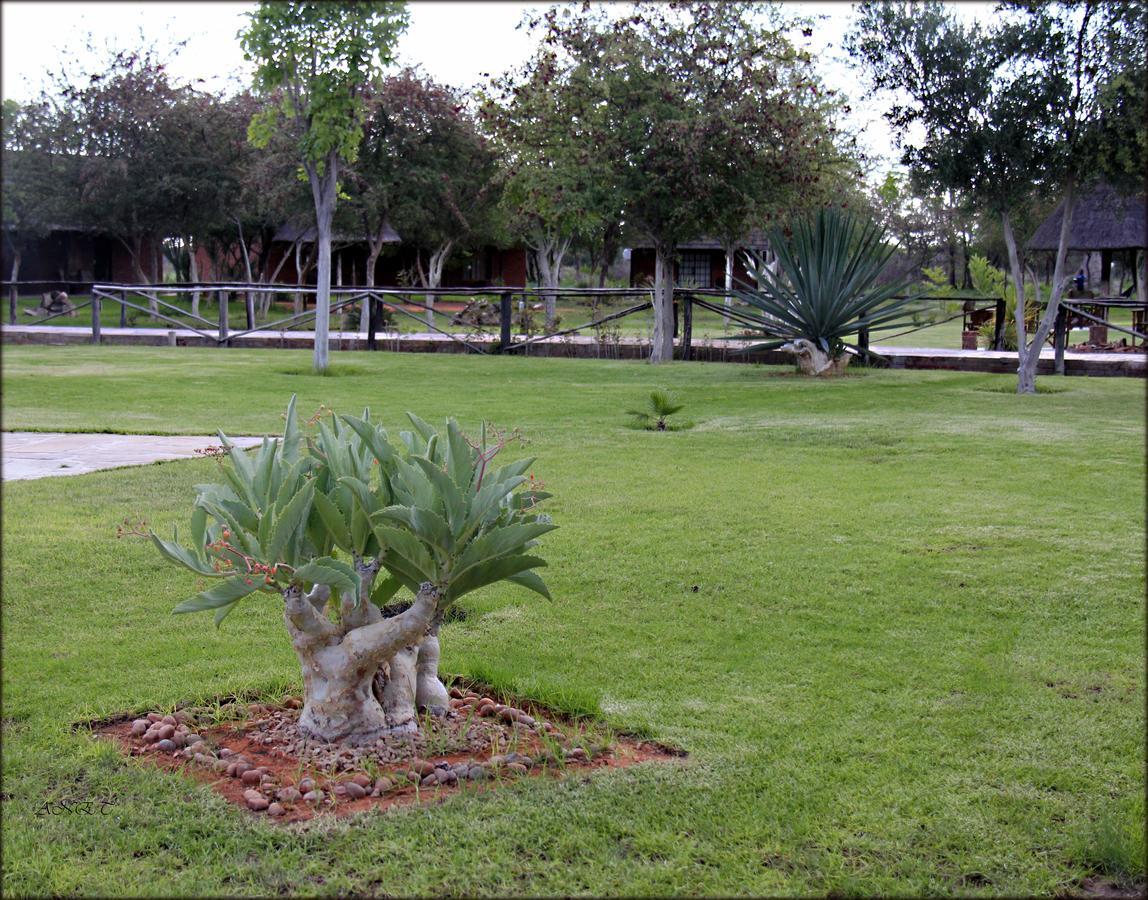 Fiume Lodge Grootfontein Εξωτερικό φωτογραφία